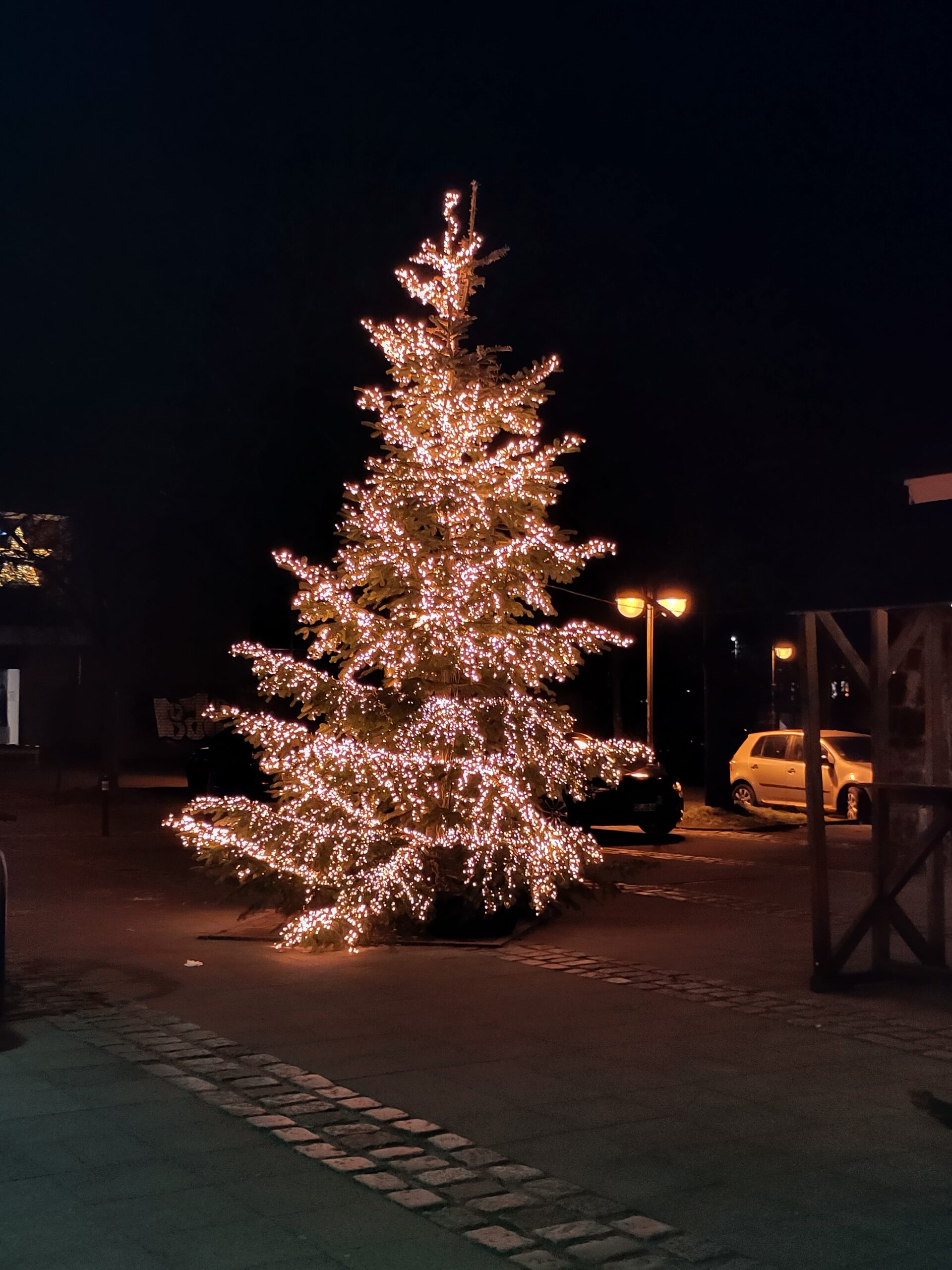 Weihnachtsbaum im Freien auf einem Platz. Die Äste find mit hellen kleinen LED-Lichtern bedeckt, so dass die Kontur des Baumes im Dunkeln gut zu erkennen ist.