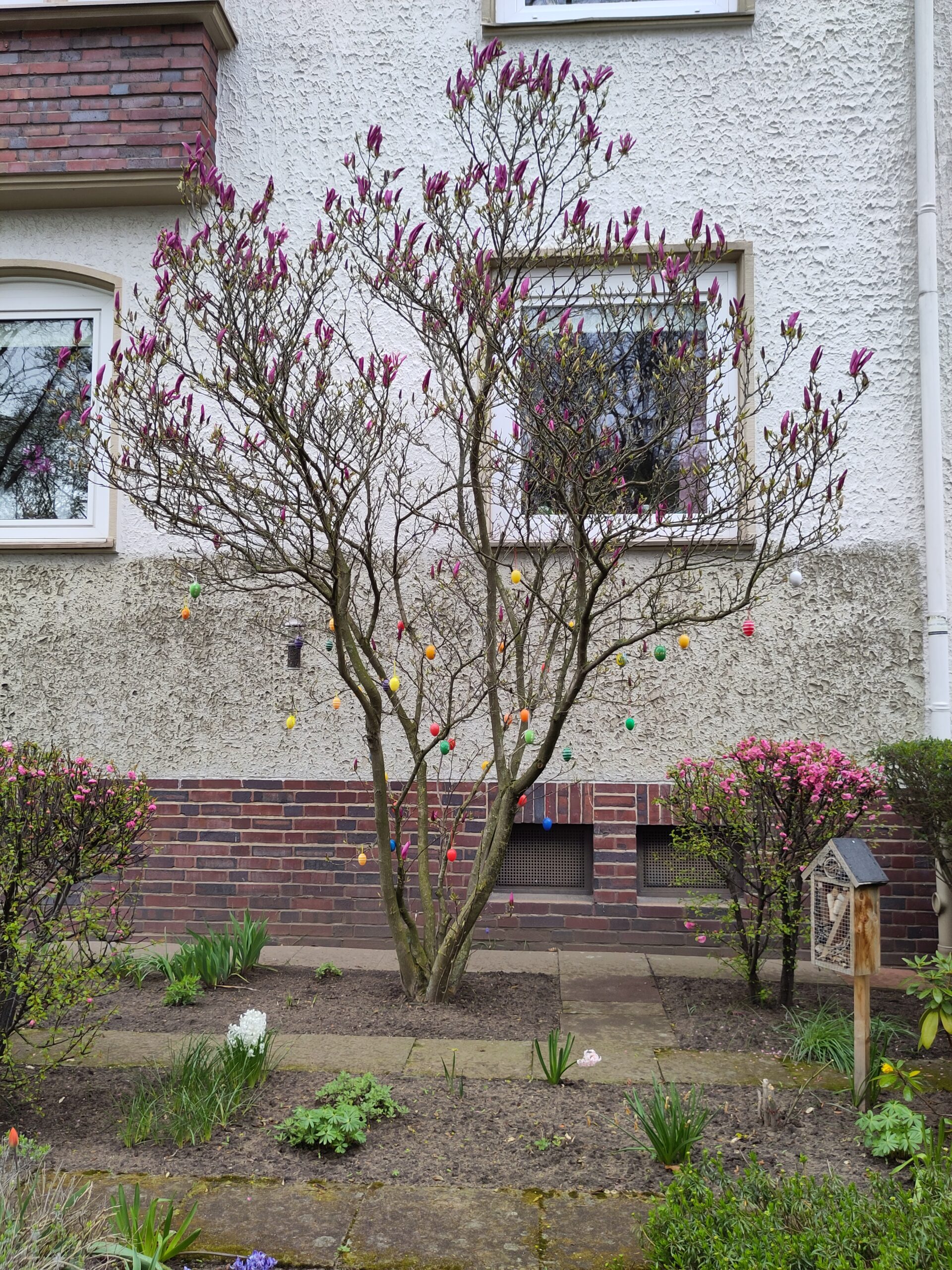Ein Baum mit lila Blüten vor einer Hauswand. Die Äste sind mit farbigen Plastikeier an langen Bindfäden geschmückt.